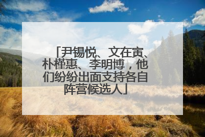 尹锡悦、文在寅、朴槿惠、李明博，他们纷纷出面支持各自阵营候选人