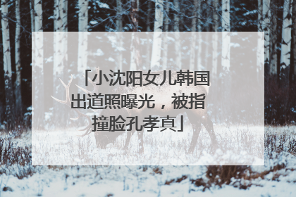 小沈阳女儿韩国出道照曝光，被指撞脸孔孝真