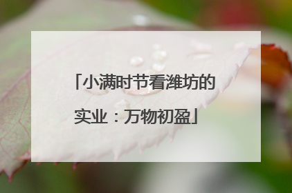 小满时节看潍坊的实业：万物初盈
