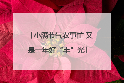 小满节气农事忙 又是一年好“丰”光