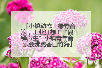 小镇动态丨绿野音浪，工业狂想！“夏铎声生”小镇青年音乐会沸腾香山竹海