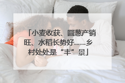 小麦收获、圆葱产销旺、水稻长势好……乡村处处是“丰”景