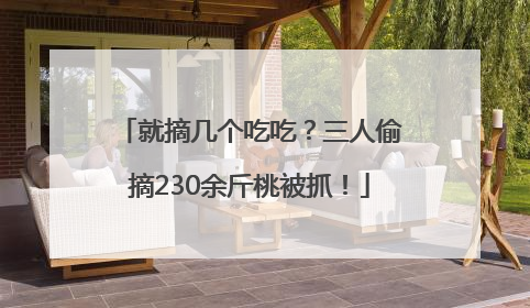 就摘几个吃吃？三人偷摘230余斤桃被抓！