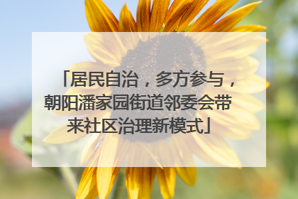 居民自治，多方参与，朝阳潘家园街道邻委会带来社区治理新模式