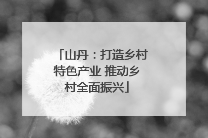 山丹：打造乡村特色产业 推动乡村全面振兴