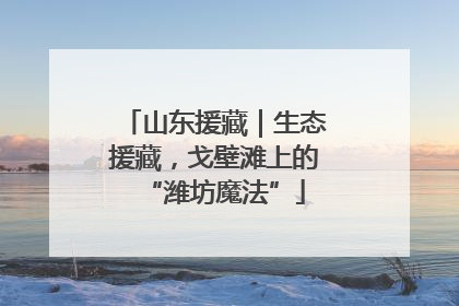 山东援藏｜生态援藏，戈壁滩上的“潍坊魔法”