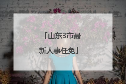山东3市最新人事任免