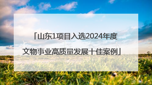 山东1项目入选2024年度文物事业高质量发展十佳案例
