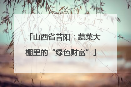 山西省昔阳：蔬菜大棚里的“绿色财富”