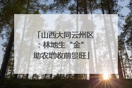 山西大同云州区：林地生“金” 助农增收前景旺