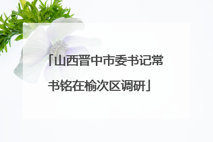 山西晋中市委书记常书铭在榆次区调研