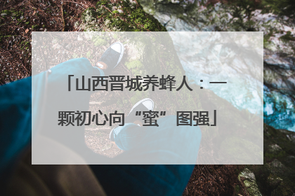 山西晋城养蜂人：一颗初心向“蜜”图强
