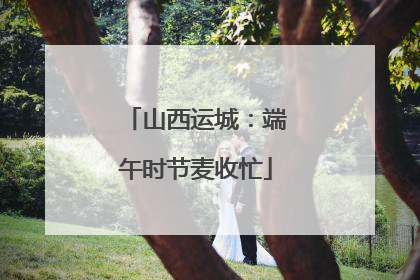 山西运城：端午时节麦收忙
