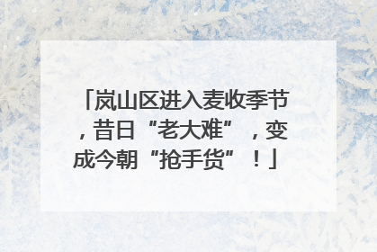 岚山区进入麦收季节，昔日“老大难”，变成今朝“抢手货”！