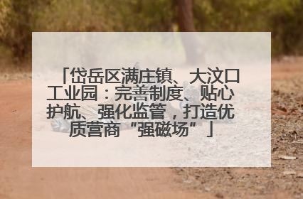 岱岳区满庄镇、大汶口工业园：完善制度、贴心护航、强化监管，打造优质营商“强磁场”