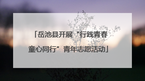 岳池县开展“行践青春 童心同行”青年志愿活动