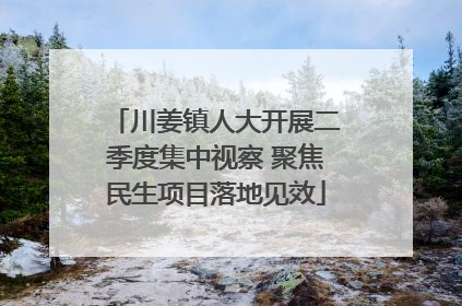 川姜镇人大开展二季度集中视察 聚焦民生项目落地见效