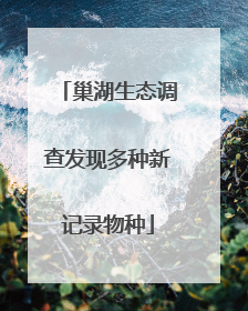 巢湖生态调查发现多种新记录物种