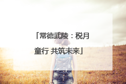 常德武陵：税月童行 共筑未来