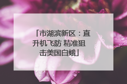 市湖滨新区：直升机飞防 精准狙击美国白蛾