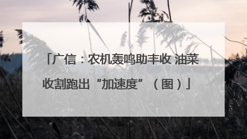 广信：农机轰鸣助丰收 油菜收割跑出“加速度”（图）