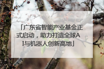 广东省智能产业基金正式启动，助力打造全球AI与机器人创新高地
