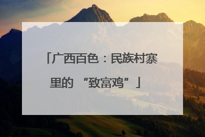 广西百色：民族村寨里的 “致富鸡”