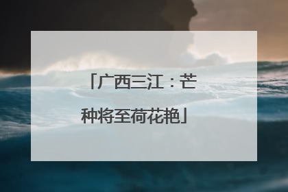 广西三江：芒种将至荷花艳