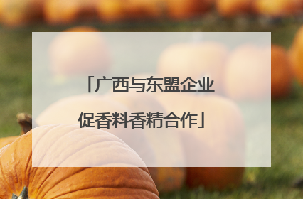 广西与东盟企业促香料香精合作