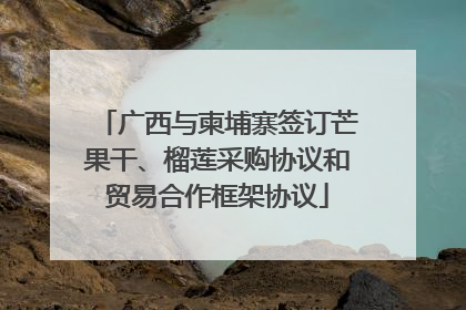 广西与柬埔寨签订芒果干、榴莲采购协议和贸易合作框架协议
