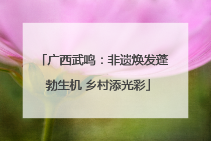 广西武鸣：非遗焕发蓬勃生机 乡村添光彩