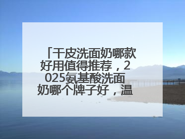 干皮洗面奶哪款好用值得推荐，2025氨基酸洗面奶哪个牌子好，温和在线