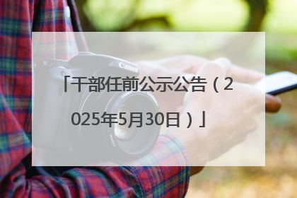 干部任前公示公告（2025年5月30日）