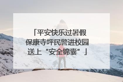 平安快乐过暑假 保康寺坪民警进校园送上“安全锦囊”