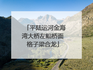 平陆运河金海湾大桥左幅桥面格子梁合龙