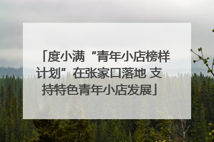 度小满“青年小店榜样计划”在张家口落地 支持特色青年小店发展