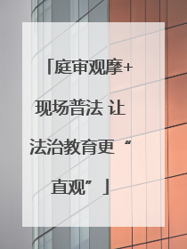 庭审观摩+现场普法 让法治教育更“直观”