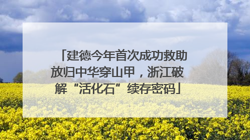 建德今年首次成功救助放归中华穿山甲，浙江破解“活化石”续存密码