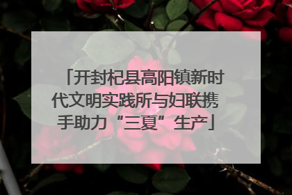 开封杞县高阳镇新时代文明实践所与妇联携手助力“三夏”生产