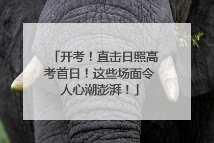 开考！直击日照高考首日！这些场面令人心潮澎湃！