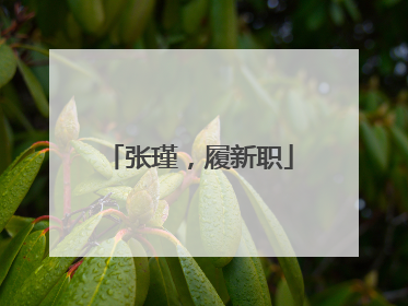 张瑾，履新职