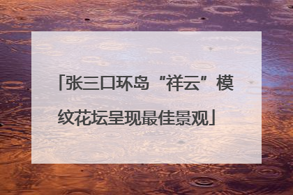 张三口环岛“祥云”模纹花坛呈现最佳景观