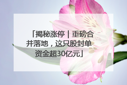 揭秘涨停｜重磅合并落地，这只股封单资金超30亿元