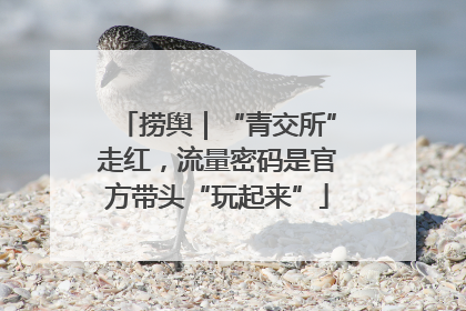 捞舆｜“青交所”走红，流量密码是官方带头“玩起来”