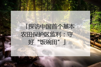 探访中国首个基本农田保护区监利：守好“饭碗田”