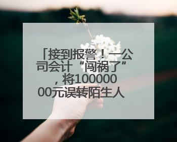 接到报警！一公司会计“闯祸了”，将10000000元误转陌生人账户！