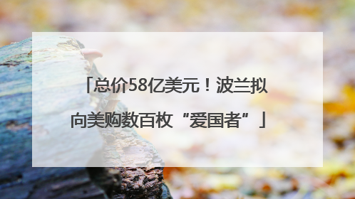 总价58亿美元！波兰拟向美购数百枚“爱国者”
