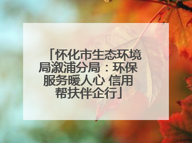 怀化市生态环境局溆浦分局：环保服务暖人心 信用帮扶伴企行