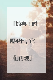 惊喜！时隔4年，它们再现