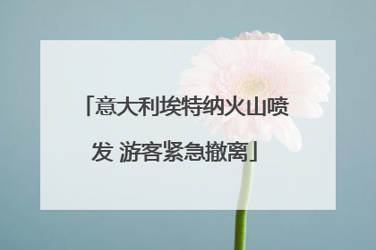 意大利埃特纳火山喷发 游客紧急撤离